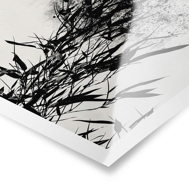 Kunstkopie Poster Grafische Pflanzenwelt - Schwarzer Bambus