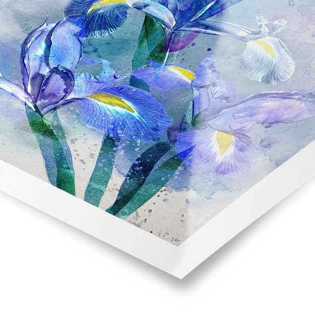 Bilder Aquarell Blumen Iris