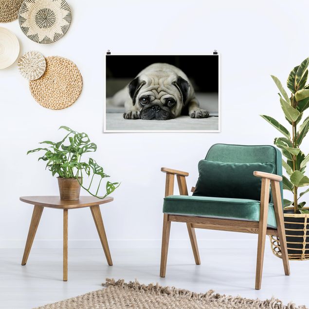 Wandbilder Hunde Pug Loves You