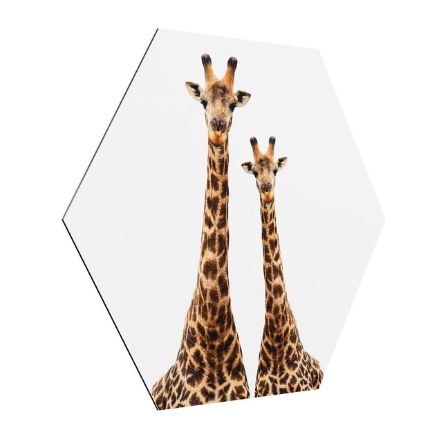 Wandbilder Tiere Portait Zweier Giraffen