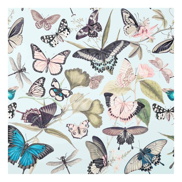 Andrea Haase Bilder Vintage Collage - Schmetterlinge und Libellen