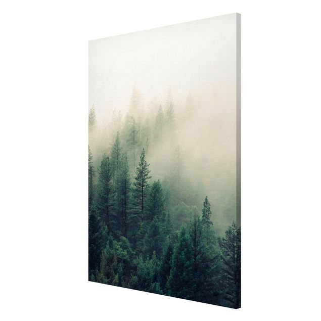 Wandbilder Landschaften Wald im Nebel Erwachen