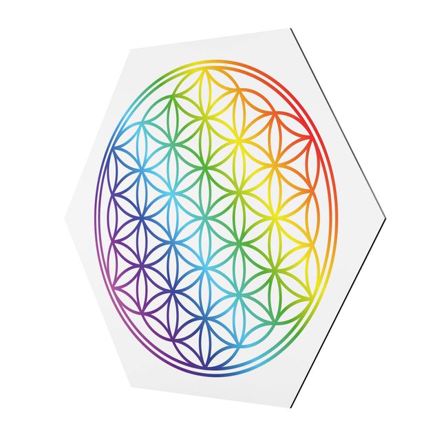 Hexagon Bilder Blume des Lebens Regenbogenfarbe