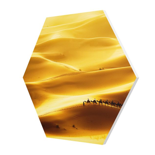 Forex Bilder Golden Dunes