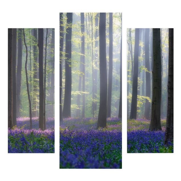 Wandbilder Floral Frühlingstag im Wald