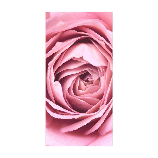 Teppich modern Rosa Rosenblüte