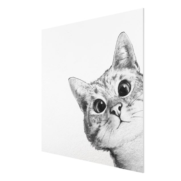 Wandbilder Katzen Illustration Katze Zeichnung Schwarz Weiß