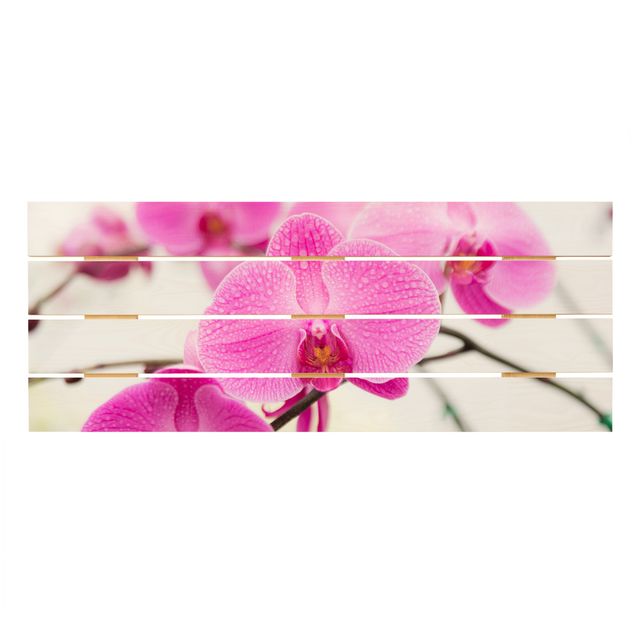 Wandbild Holz Nahaufnahme Orchidee