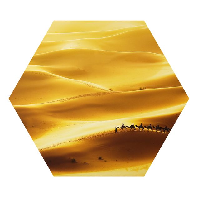 Wandbilder Tiere Golden Dunes