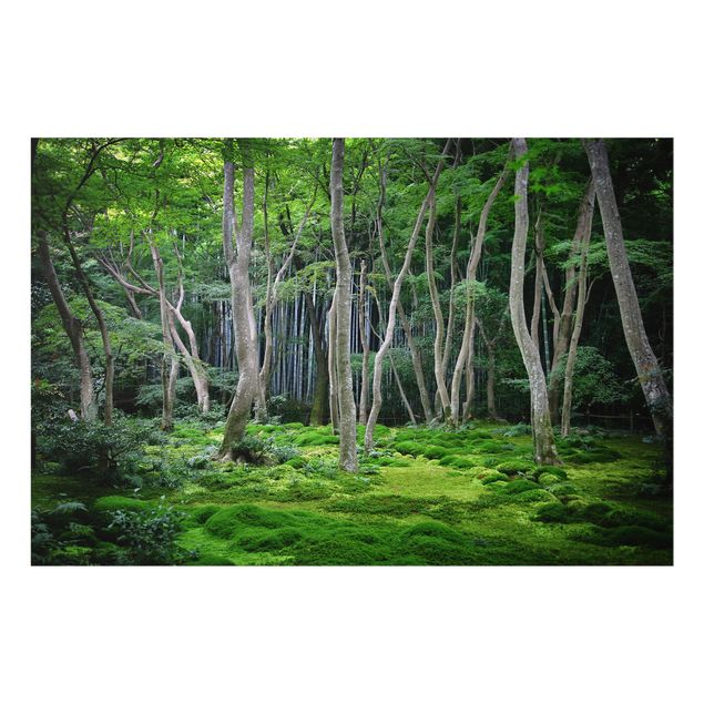 Spritzschutz Glas - Japanischer Wald - Querformat - 3:2