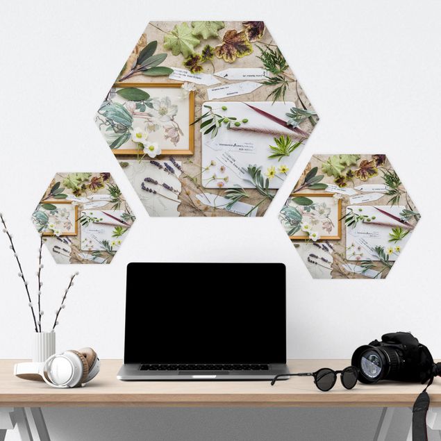Hexagon Bild Alu-Dibond - Blumen und Gartenkräuter Vintage