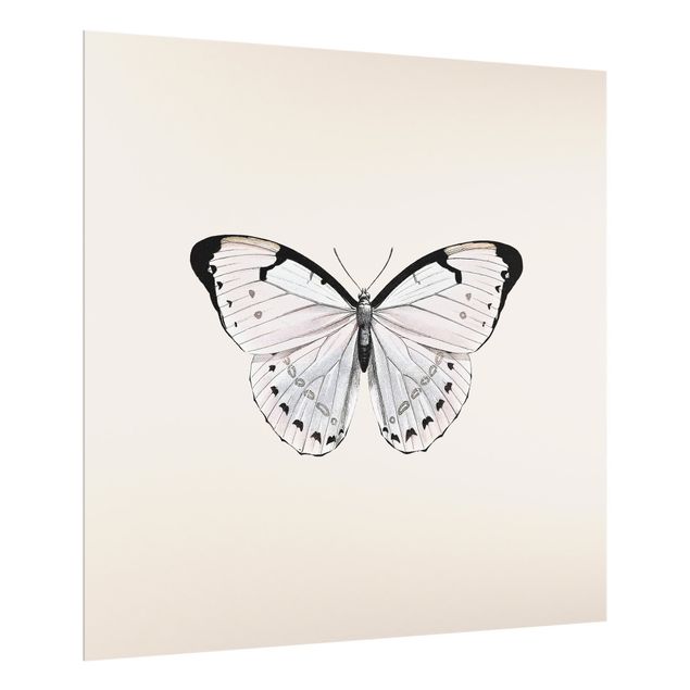 Monika Strigel Bilder Schmetterling auf Beige