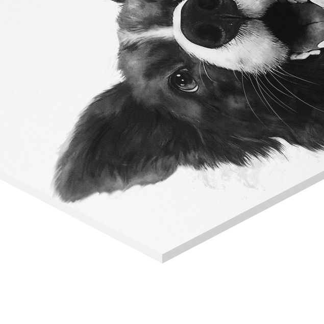 schöne Bilder Illustration Hund Border Collie Schwarz Weiß Malerei