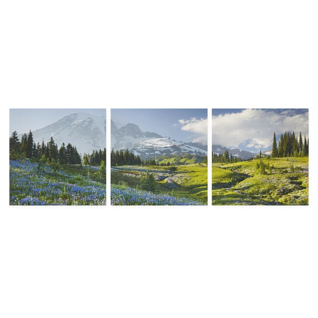 Blumenbilder auf Leinwand Bergwiese mit blauen Blumen vor Mt. Rainier