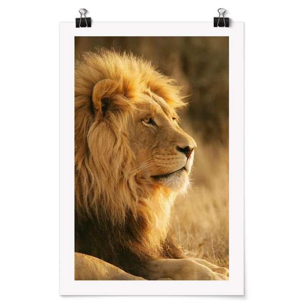 Wandbilder Afrika Löwenkönig