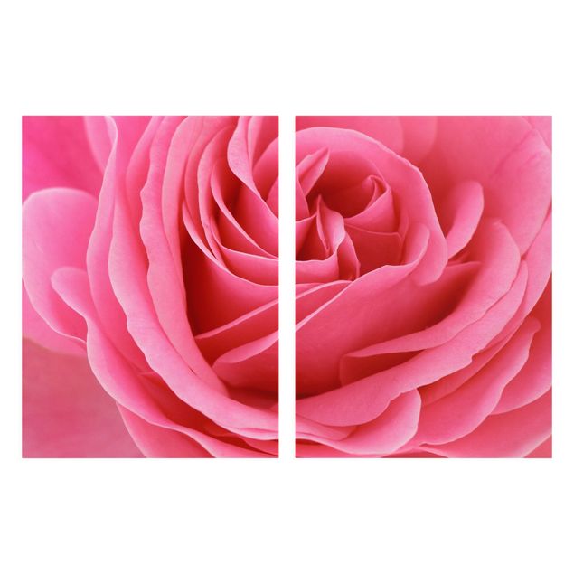 Wandbilder Blumen Lustful Pink Rose