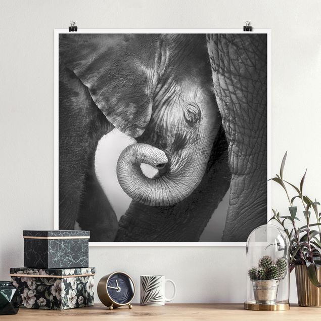 Wandbilder Elefanten Mutterliebe