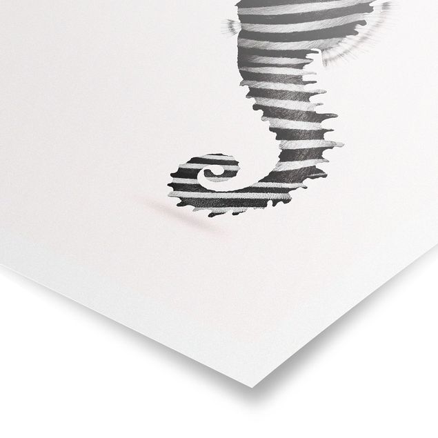 Poster schwarz-weiß Seepferdchen mit Zebrastreifen