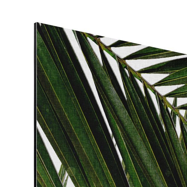 Wandbilder Kunstdrucke Blick durch grüne Palmenblätter