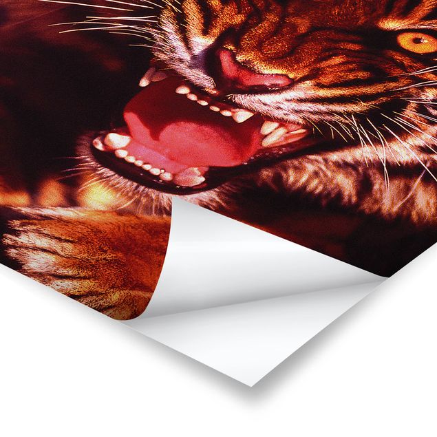 Poster bestellen Wilder Tiger