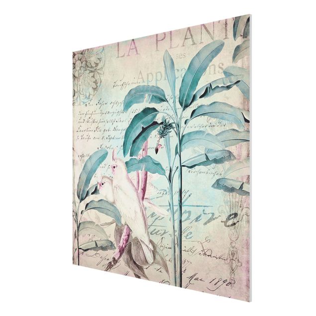 Wandbilder Blumen Colonial Style Collage - Kakadus und Palmen