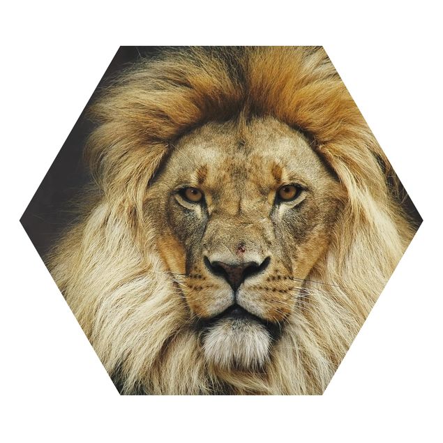Wandbilder Gelb Wisdom of Lion