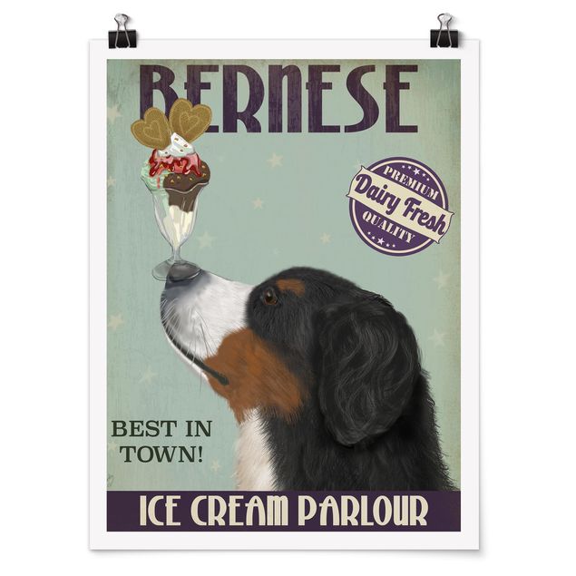 Tiere Poster Berner Sennenhund mit Eis