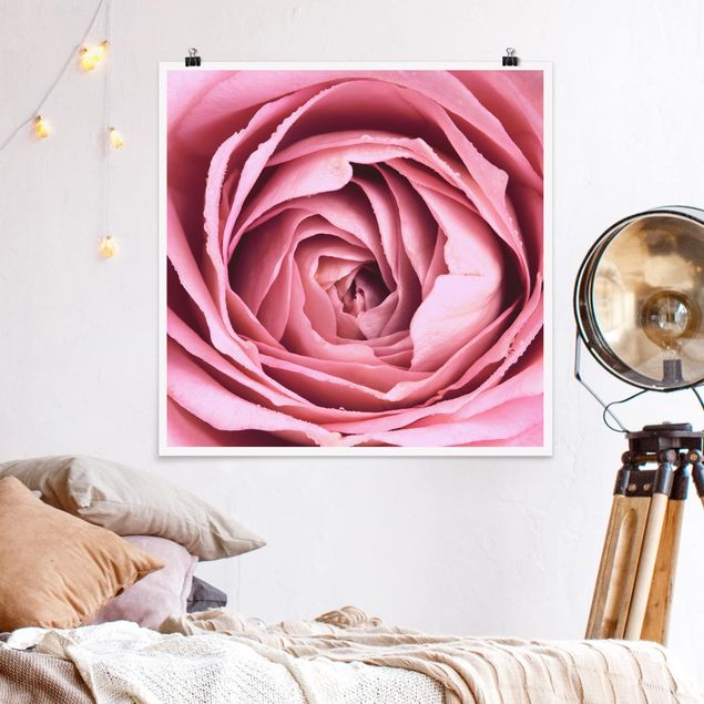 Wanddeko Küche Rosa Rosenblüte