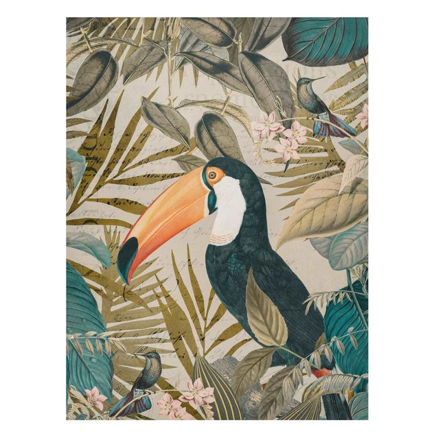 Wandbilder Dschungel Vintage Collage - Tukan im Dschungel