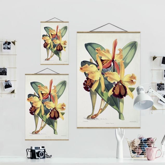 Wandbilder Kunstdrucke Walter Hood Fitch - Orchidee