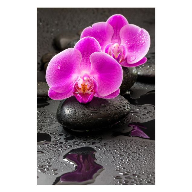 Küche Dekoration Pinke Orchideenblüten auf Steinen mit Tropfen