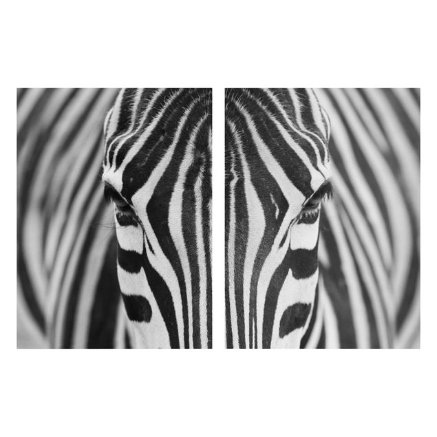 Leinwandbilder schwarz-weiß Zebra Look