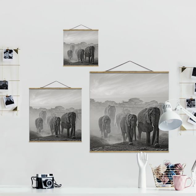 Wandbilder Modern Elefantenherde