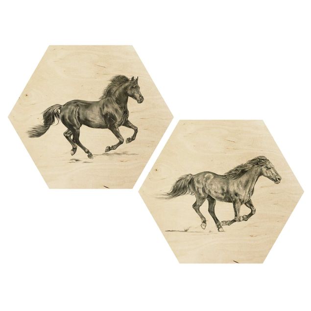 Hexagon Bild Holz 2-teilig - Wildpferd-Studie Set I