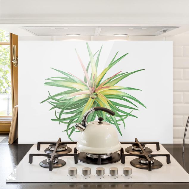 Wanddeko Küche Luftpflanze Aquarell III
