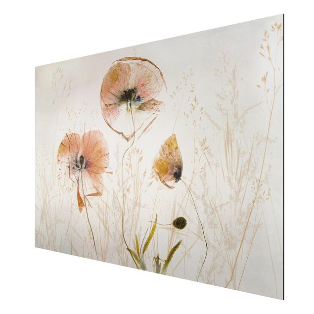 Wandbilder Floral Getrocknete Mohnblüten mit zarten Gräsern