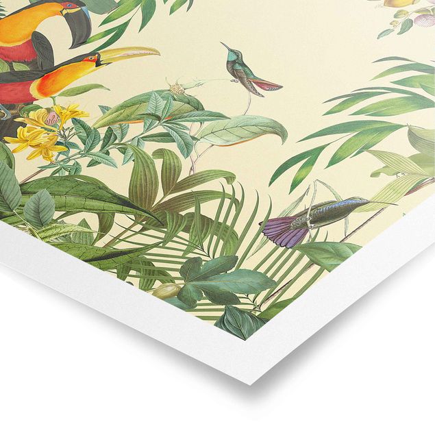 Kunstdrucke Poster Vintage Collage - Vögel im Dschungel