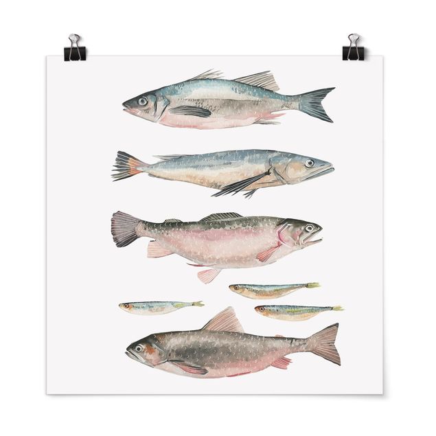 Poster mit Spruch Sieben Fische in Aquarell I