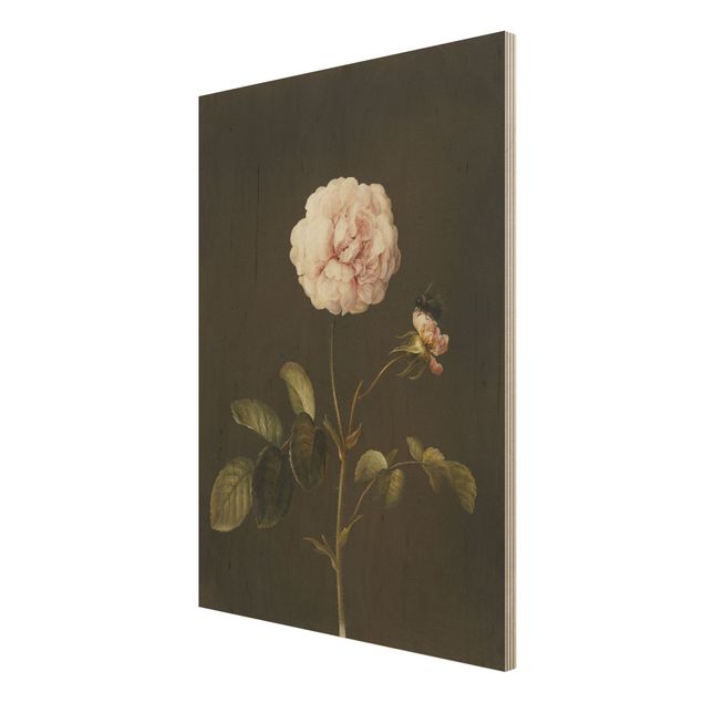 Holzbild Blumen Barbara Regina Dietzsch - Essig-Rose mit Hummel