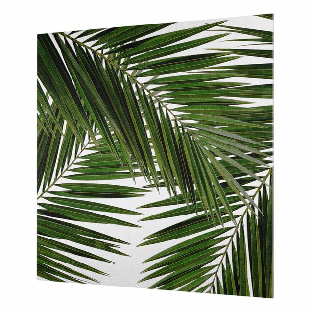 Spritzschutz Glas - Blick durch grüne Palmenblätter - Quadrat 1:1