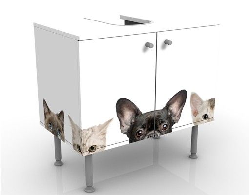 Waschbeckenunterschränke Katzen mit Hundeblick