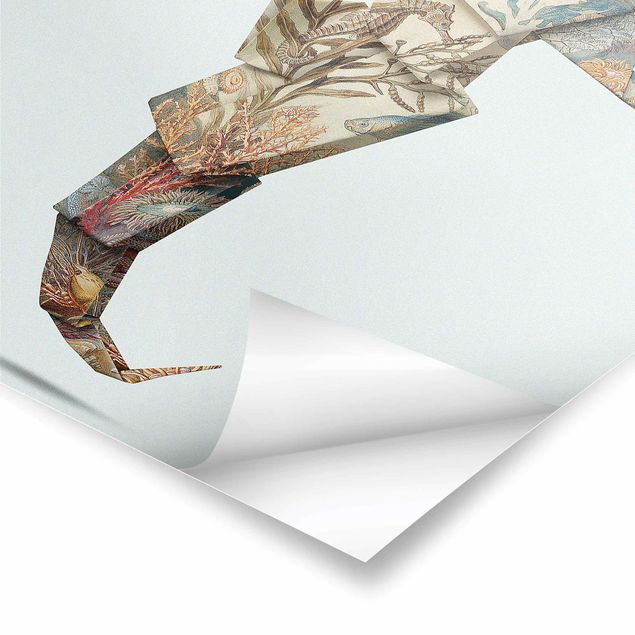Jonas Loose Bilder Origami Seepferdchen