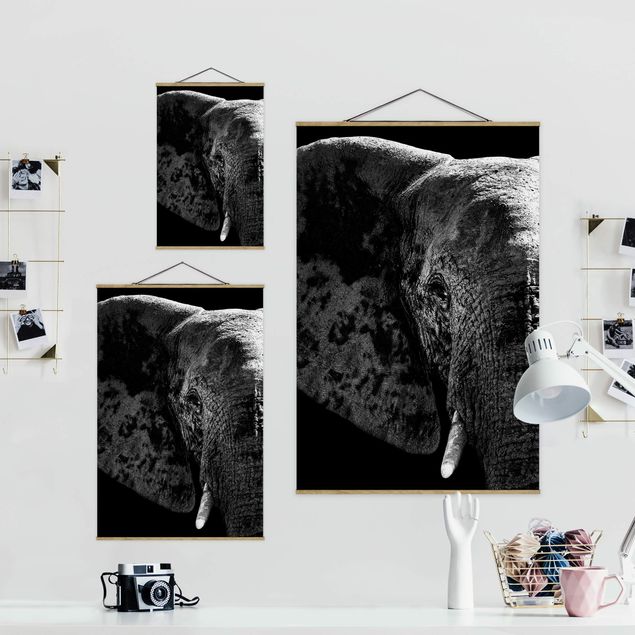 Wandbilder Schwarz-Weiß Afrikanischer Elefant schwarz-weiß