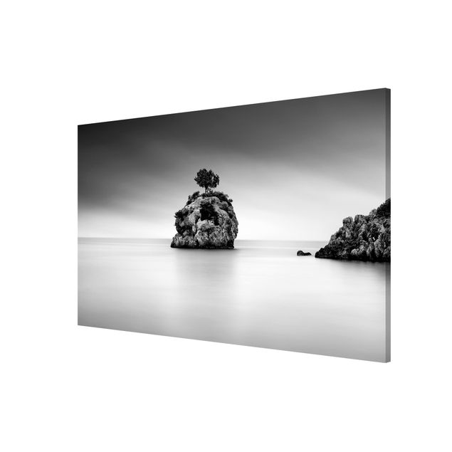 Wandbilder Strände Felseninsel im Meer Schwarz-Weiß