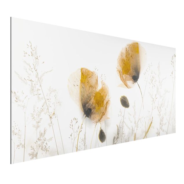 Wandbilder Mohnblumen Mohnblumen und zarte Gräser im weichen Nebel