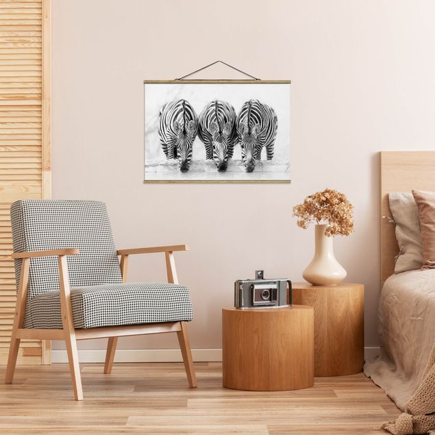 Wandbilder Afrika Zebra Trio schwarz-weiß