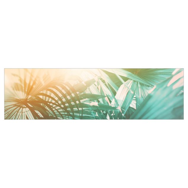 Küchenrückwand - Tropische Pflanzen Palmen bei Sonnenuntergang