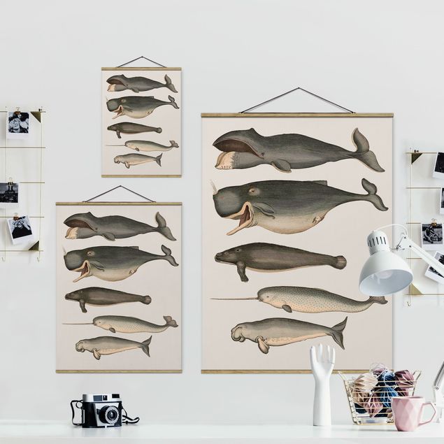 Wandbilder Grau Fünf Vintage Wale