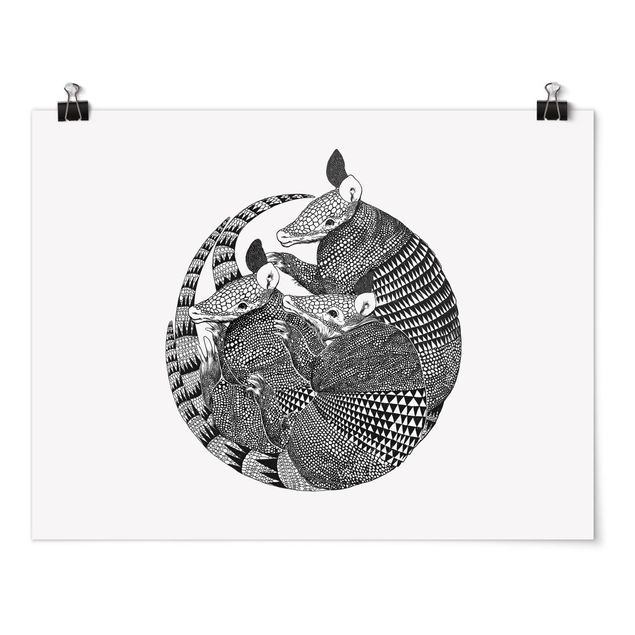 Tierposter Illustration Gürteltiere Schwarz Weiß Muster