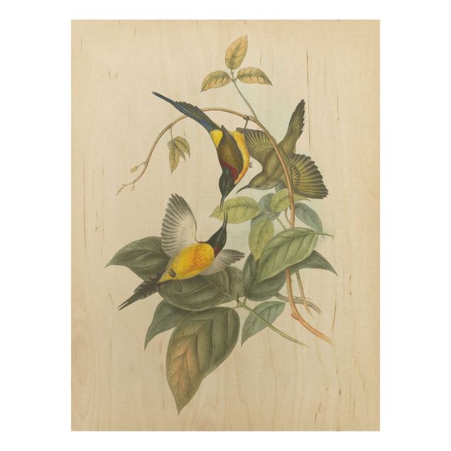Holzbilder Blumen Vintage Illustration Tropische Vögel IV